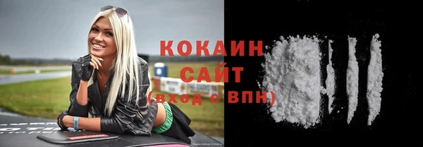 гашик Арсеньев