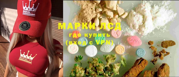гашик Арсеньев