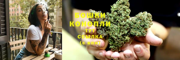 СК Зерноград